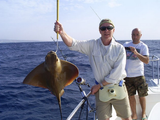Eagle Ray Cavalier & Blue Marlin Sport Fishing Gran Canaria