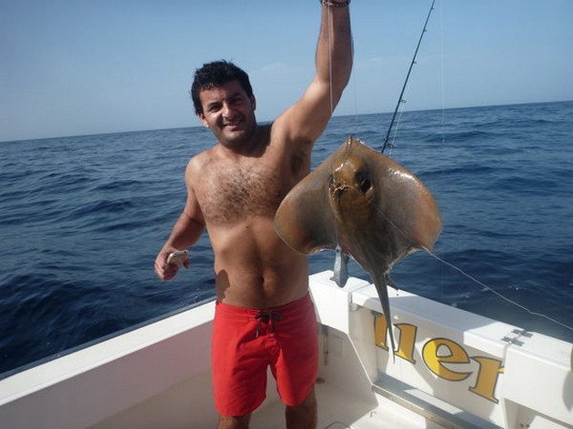 Common Stingray Cavalier & Blue Marlin Sport Fishing Gran Canaria