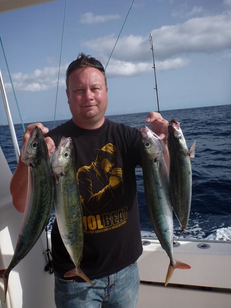 nice catch Cavalier & Blue Marlin Sport Fishing Gran Canaria