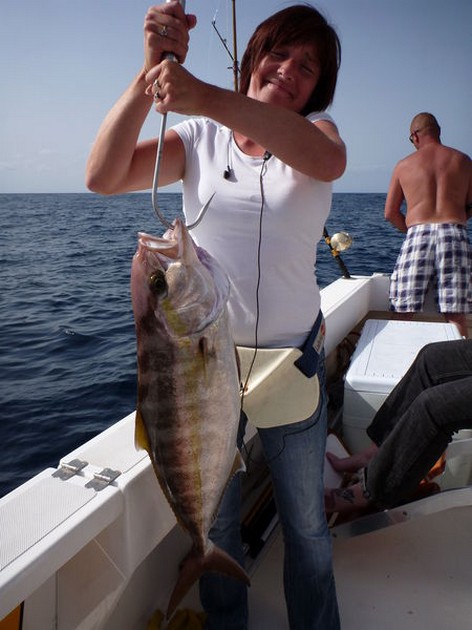 Amberjack Cavalier & Blue Marlin Sport Fishing Gran Canaria