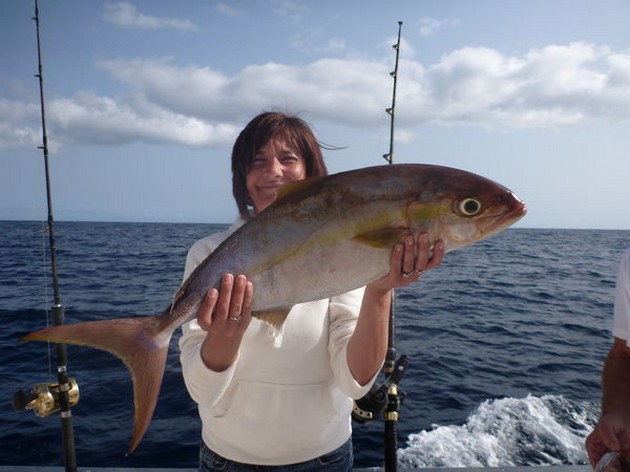 Amberjack Cavalier & Blue Marlin Sport Fishing Gran Canaria