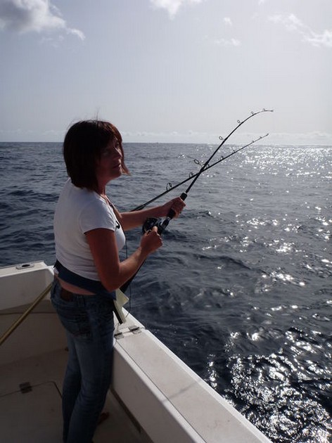 hooked up Cavalier & Blue Marlin Sport Fishing Gran Canaria