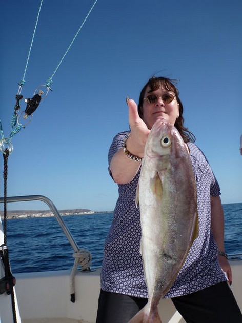 Amberjack Cavalier & Blue Marlin Sport Fishing Gran Canaria