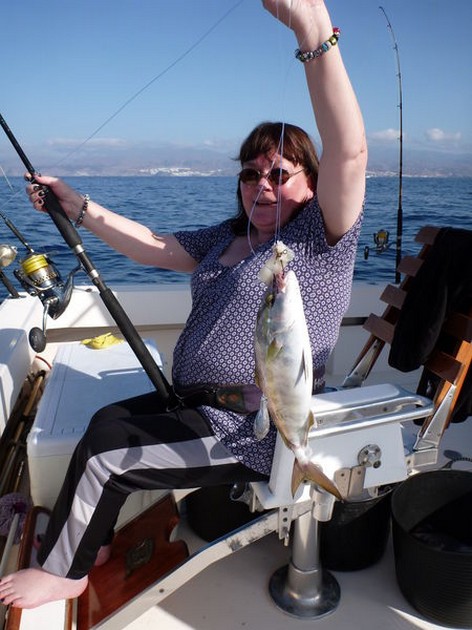 Hooked Up Cavalier & Blue Marlin Sport Fishing Gran Canaria