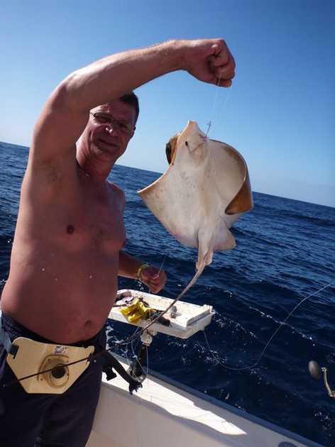 Eagle Ray Cavalier & Blue Marlin Sport Fishing Gran Canaria