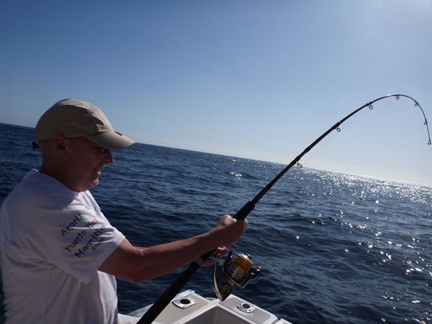 Hooked Up Cavalier & Blue Marlin Sport Fishing Gran Canaria
