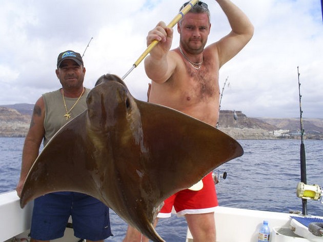 Eagle Ray Cavalier & Blue Marlin Sport Fishing Gran Canaria