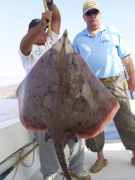 Bottle Nosed Skate Cavalier & Blue Marlin Sport Fishing Gran Canaria