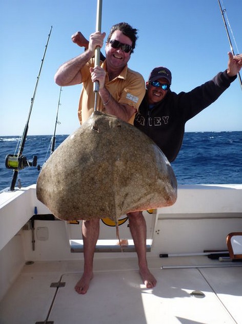 Butterfly ray Cavalier & Blue Marlin Sport Fishing Gran Canaria