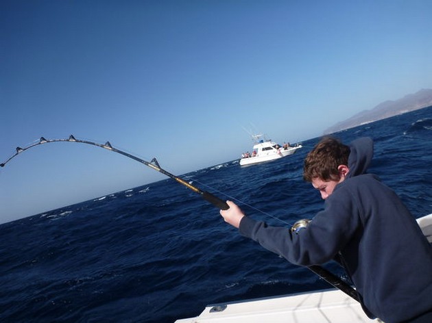 hooked up Cavalier & Blue Marlin Sport Fishing Gran Canaria