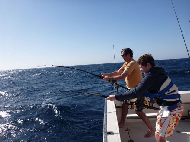 Bra fiske Cavalier & Blue Marlin Sport Fishing Gran Canaria
