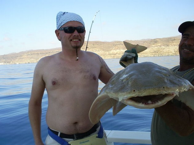 Angel shark Cavalier & Blue Marlin Sport Fishing Gran Canaria