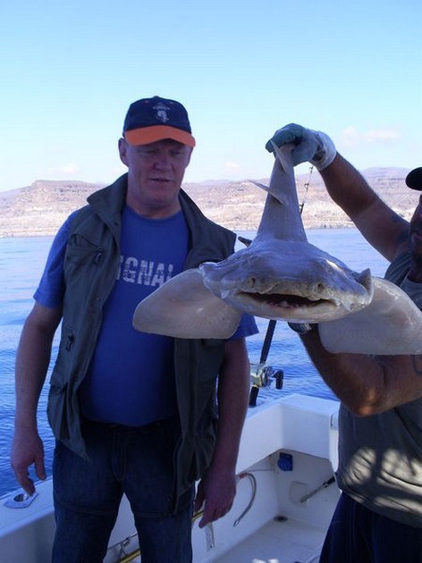 Angel shark Cavalier & Blue Marlin Sport Fishing Gran Canaria