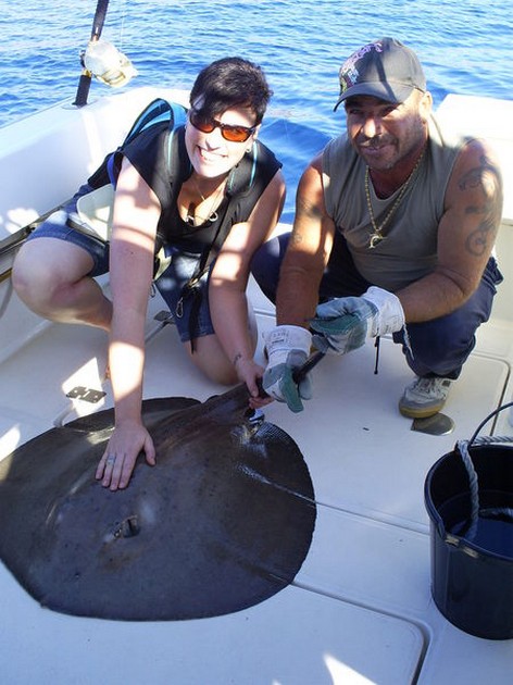 Roughtail Stingray Cavalier & Blue Marlin Sport Fishing Gran Canaria
