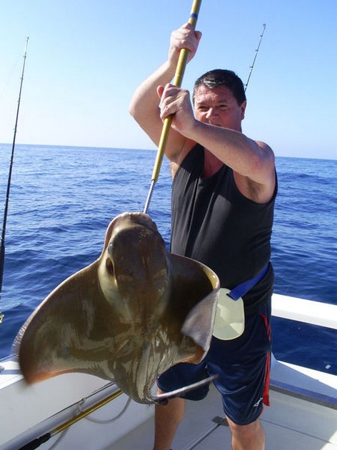 Eagle Ray Cavalier & Blue Marlin Sport Fishing Gran Canaria