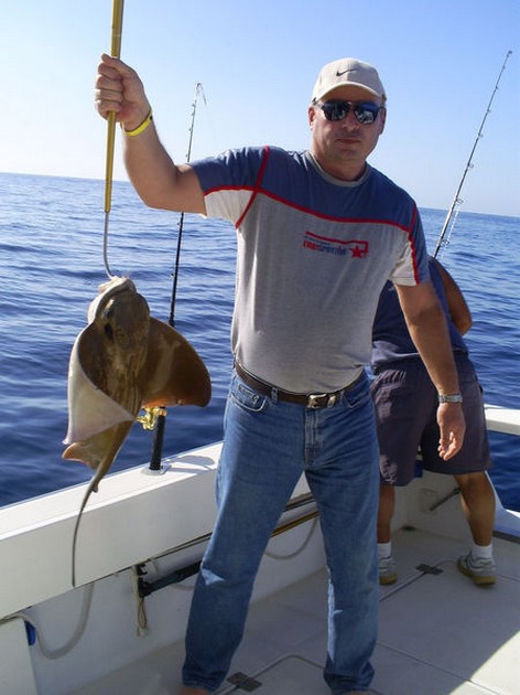 Eagle Ray Cavalier & Blue Marlin Sport Fishing Gran Canaria