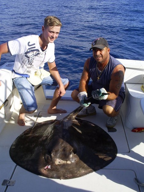 Roughtail Stingray Cavalier & Blue Marlin Sport Fishing Gran Canaria