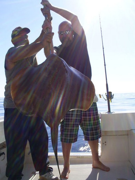 Roughtail Stingray Cavalier & Blue Marlin Sport Fishing Gran Canaria