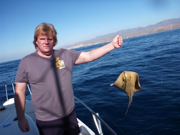 Common Stingray Cavalier & Blue Marlin Sport Fishing Gran Canaria