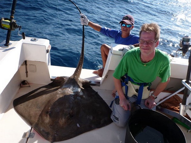 23/12 Common Stingray Cavalier & Blue Marlin Sport Fishing Gran Canaria