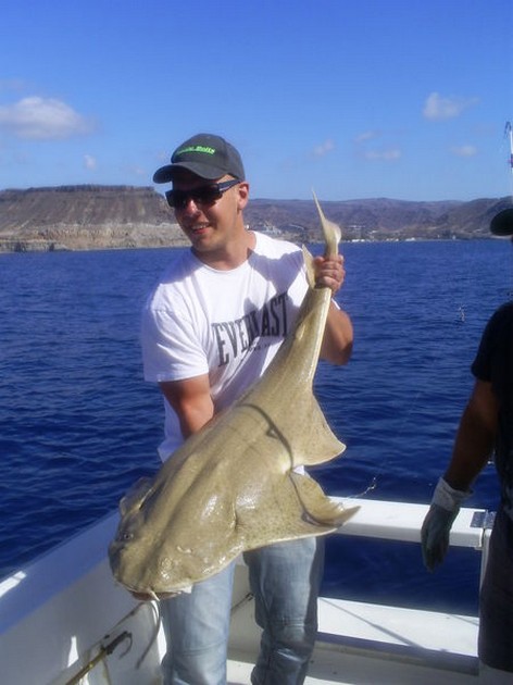 Angelshark Cavalier & Blue Marlin Sport Fishing Gran Canaria
