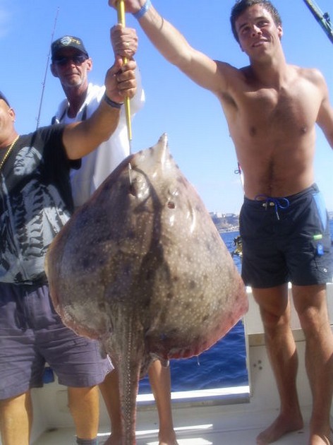 Bottle Nosed Skate Cavalier & Blue Marlin Sport Fishing Gran Canaria