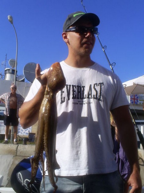 0ctopussy Cavalier & Blue Marlin Sport Fishing Gran Canaria