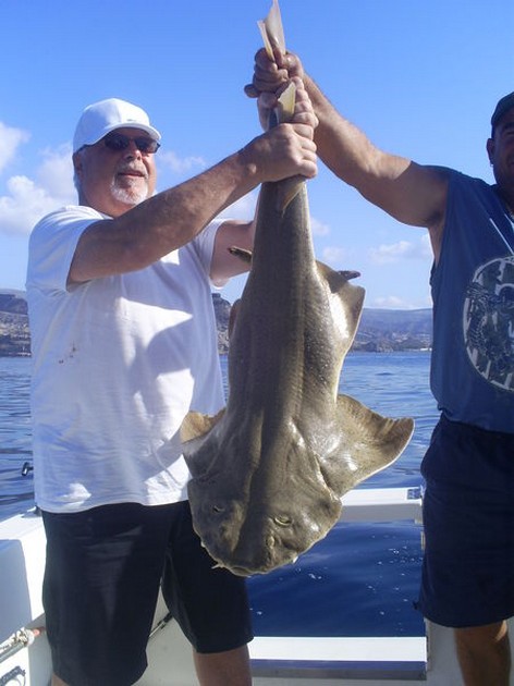 Angelshark Cavalier & Blue Marlin Sport Fishing Gran Canaria