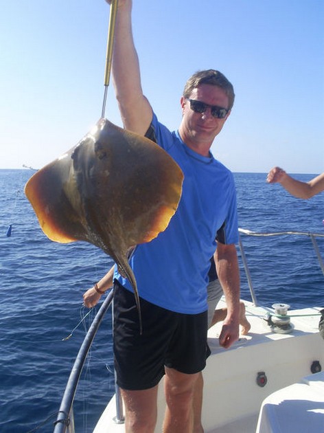 Common Stingray Cavalier & Blue Marlin Sport Fishing Gran Canaria
