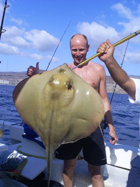 Common Stingray Cavalier & Blue Marlin Sport Fishing Gran Canaria