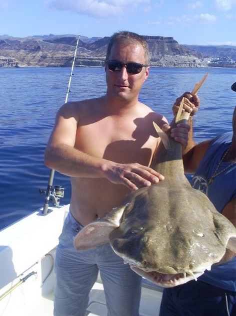 Angel shark Cavalier & Blue Marlin Sport Fishing Gran Canaria