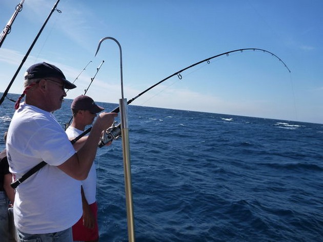 Hooked Up Cavalier & Blue Marlin Sport Fishing Gran Canaria