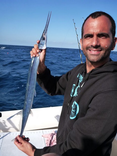 Garfish Cavalier & Blue Marlin Sport Fishing Gran Canaria