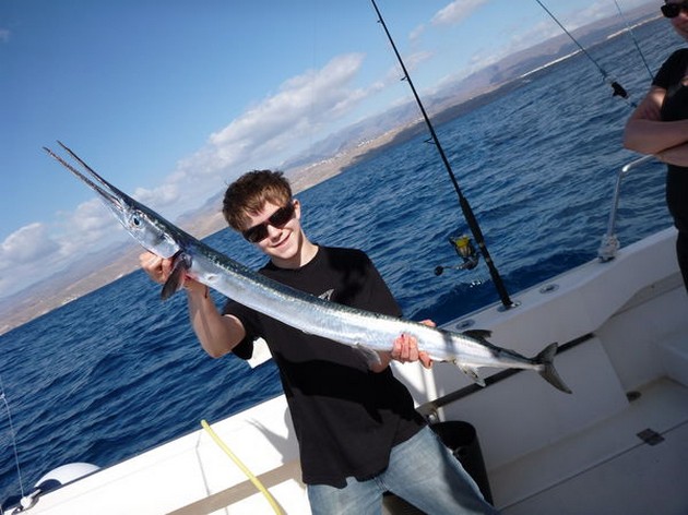 Garfish Cavalier & Blue Marlin Sport Fishing Gran Canaria
