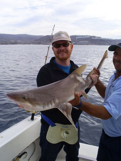 03/01 Tope Cavalier & Blue Marlin Sport Fishing Gran Canaria