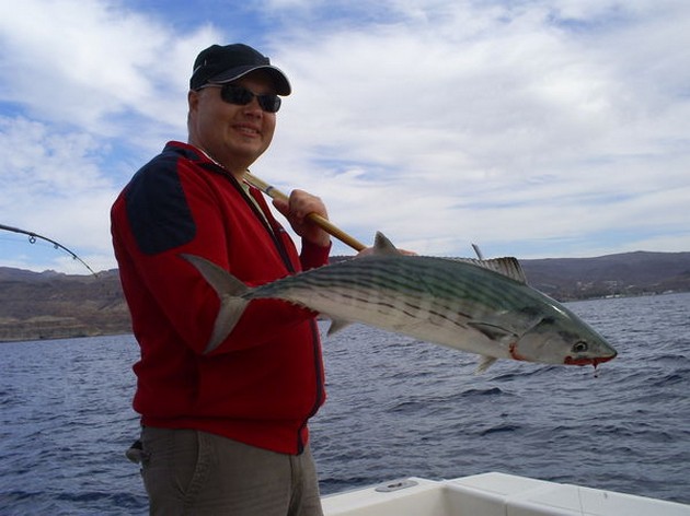 Atlantic Sierra Tuna Cavalier & Blue Marlin Sport Fishing Gran Canaria