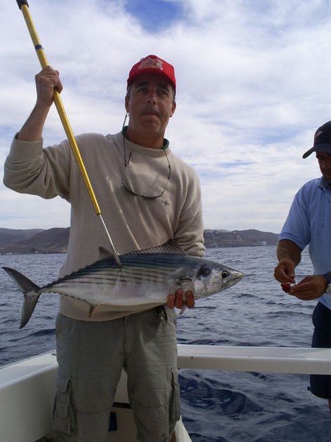 Atlantic Sierra Tuna Cavalier & Blue Marlin Sport Fishing Gran Canaria