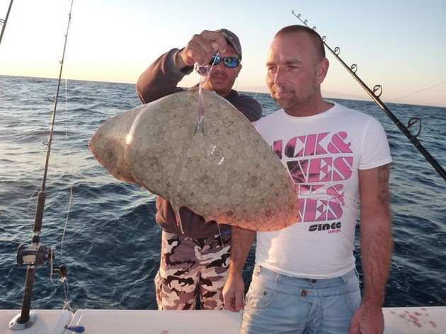  - Cavalier & Blue Marlin Sport Fishing Gran Canaria