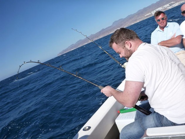 Hard Job Cavalier & Blue Marlin Sport Fishing Gran Canaria