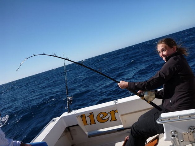 Hooked Up Cavalier & Blue Marlin Sport Fishing Gran Canaria