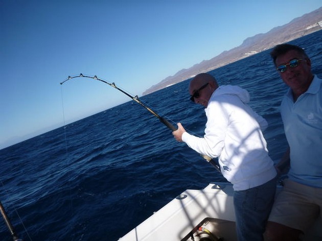 Hooked Up Cavalier & Blue Marlin Sport Fishing Gran Canaria