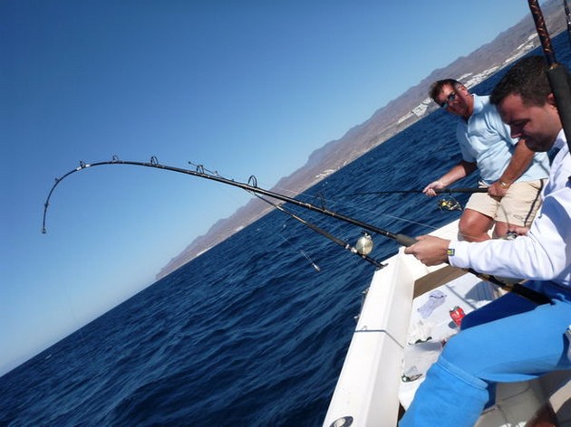 Hooked Up Cavalier & Blue Marlin Sport Fishing Gran Canaria