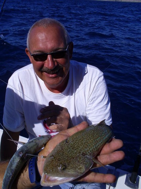 Lizardfish Cavalier & Blue Marlin Sport Fishing Gran Canaria