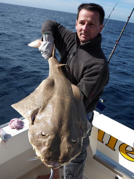 07/01 Angel shark Cavalier & Blue Marlin Sport Fishing Gran Canaria