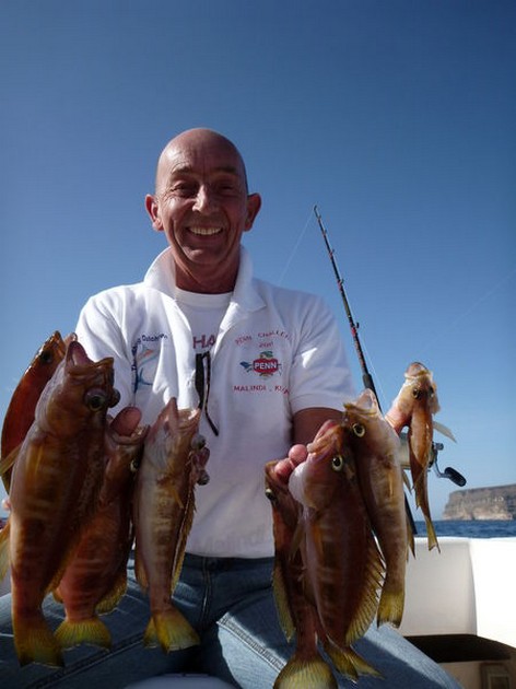 Combers Cavalier & Blue Marlin Sport Fishing Gran Canaria