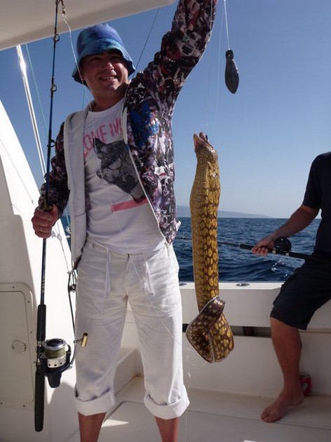 Tiger Moray Cavalier & Blue Marlin Sport Fishing Gran Canaria