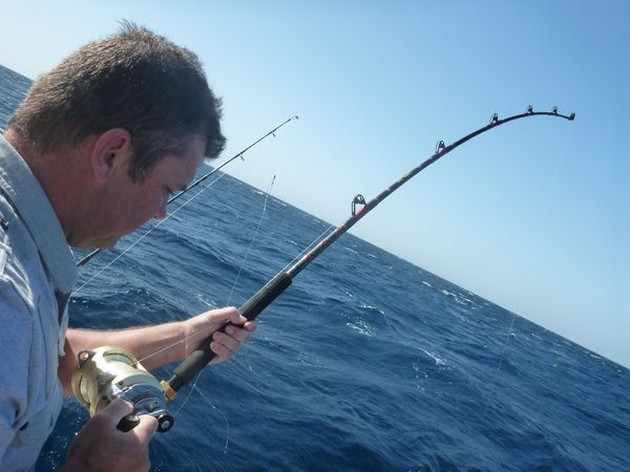 On the reef Cavalier & Blue Marlin Sport Fishing Gran Canaria
