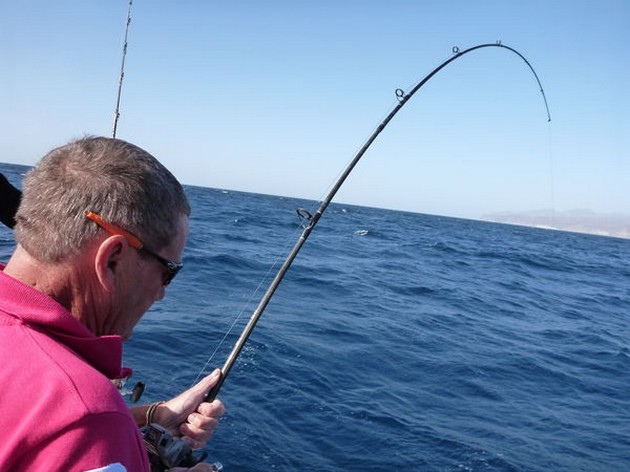 Hooked Up Cavalier & Blue Marlin Sport Fishing Gran Canaria
