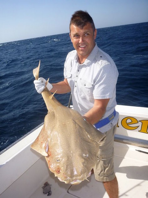 11/01 Angel shark Cavalier & Blue Marlin Sport Fishing Gran Canaria