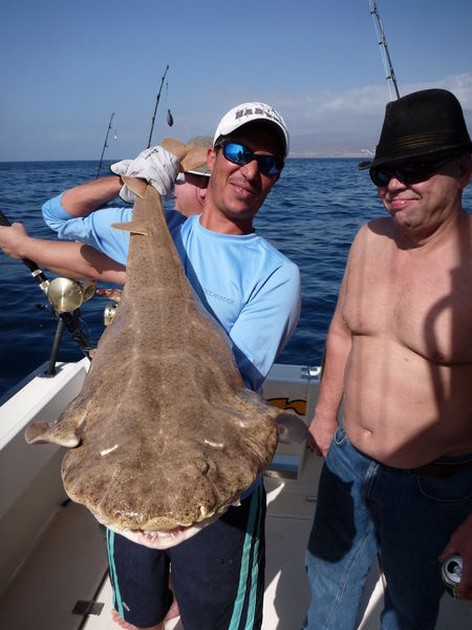 16/01 Angelshark Cavalier & Blue Marlin Sport Fishing Gran Canaria